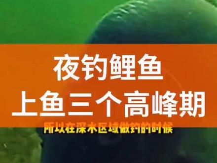 夜钓鲤鱼的三个时间段#分享钓鱼知识 #每天跟我涨知识