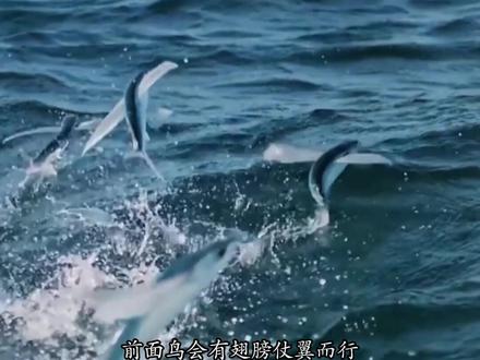#未解之谜 一个无法解释的现象。