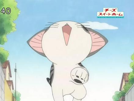 Chi's Sweet Home 甜甜起司猫 第一季 日语 特别篇合集