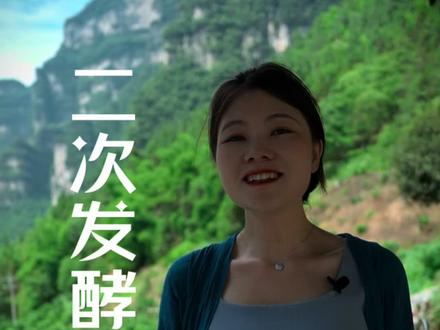 二次发酵详细教程,植物酒曲做的甜米酒又香又甜又多汁#楚寨酒曲 #自制甜酒酿 #农村美食 #初恋的味道