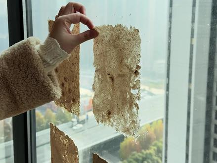 废纸再造纸,做成新年日历也太浪漫了
#我用非遗祈福新年
#居家主理人的年度好物总结 #我家的年度好东西 #新年日历 #非遗造纸