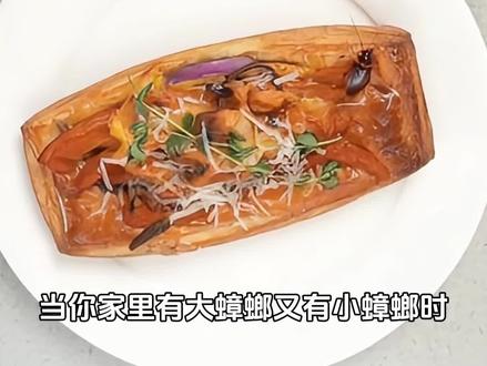 想要消灭家中蟑螂,您需要一支有料的胶饵 #拜耳 #拜灭士 #杀蟑胶饵 #蓝珠 #蟑螂药