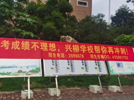 兴柳学校,招生简章。#补习班 #复读