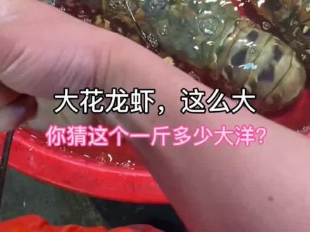 #海鲜 你们知道为什么逢年过节海鲜都涨得离谱吗?