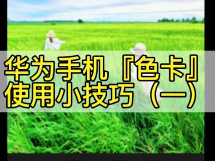 华为手机 | 色卡使用小技巧! 多尝试不同的色卡,就能得到不一样的景象,快去试试吧。#华为手机#华为pura90 #手机摄影 #和Pura90系列一起拍拍世界 #PuraTrip
