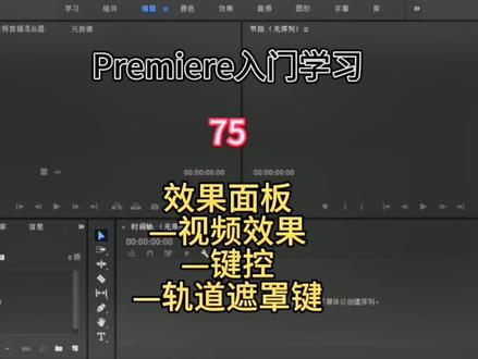 PR效果面板—视频效果—键控—轨道遮罩键#pr入门详细教程 #视频剪辑教程 #pr视频剪辑教程 #pr零基础入门攻略