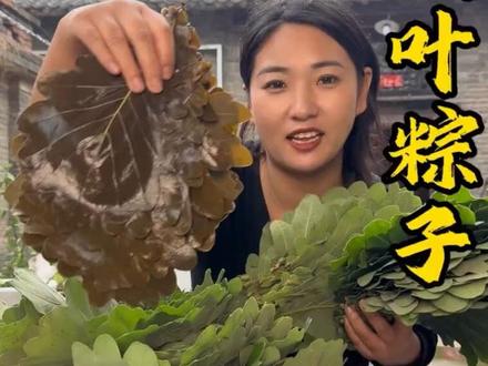 在俺们这有一种叶子叫槲叶,包出来的粽子叫槲坠,味道很独特很清香 槲叶带着天然的防腐,包出的粽子好吃关键还耐放。 #新农人计划2026 #抖音新农人 #我的乡村生活 #农村美食 #槲叶粽