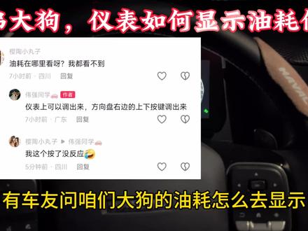 哈弗大狗,仪表调取油耗信息的操作#汽车 #哈弗大狗 #用车知识 #用车小常识