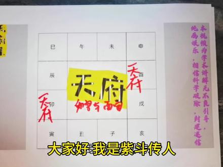 天府星十二宫分布逐一讲解,天府在卯宫和酉宫#紫微斗数 #天府星