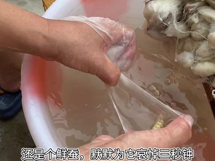 传统剥丝#蚕茧 #纯手工制作 # 蚕丝