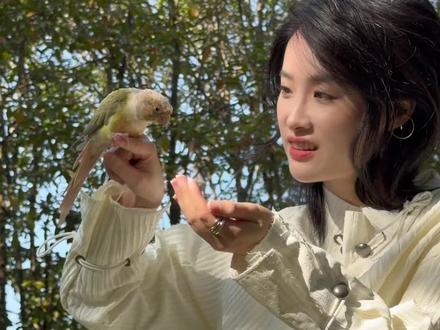 停止错误喂鸟!鹦鹉科学增肥的底层逻辑
#鹦鹉 #扑泡 #扑泡美羽粮 #养鸟 #鹦鹉日常