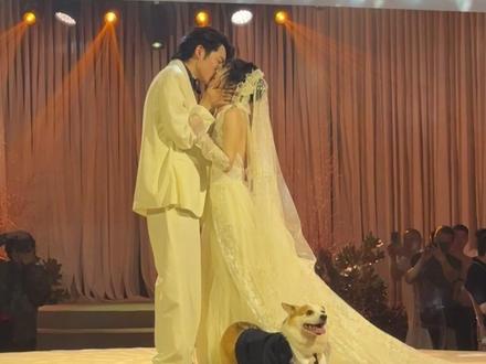 米哥潘达新婚快乐!最后一次当伴郎伴娘啦~@米哥 #结婚