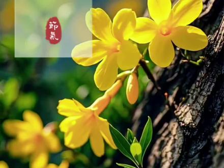 立春至 万物生 愿所有美好都如约而至#立春 #立春咬一口春天 #立春至万物归 #立春的习俗