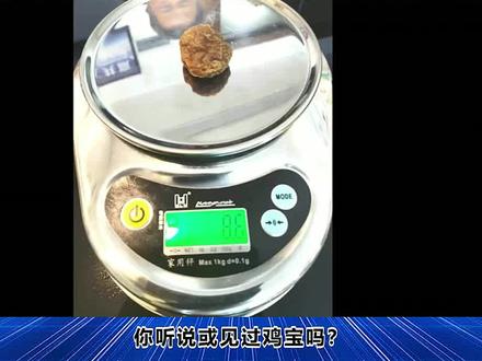 一招快速识别鸡宝 #怎么鉴定鸡宝的等级