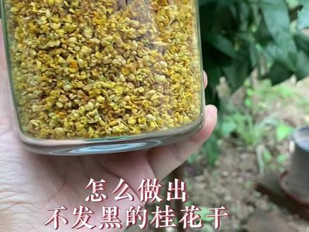 这样做的干桂花绝对不会黑!#桂花 #我的乡村生活 #桂花香