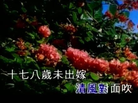 #陶喆望春风 《望春风》是由李临秋作词,邓雨贤作曲的一首闽南语民歌,1997年,陶喆改编并演唱了这首歌曲,并收录在陶喆的第一张专辑《DAVID TAO》中。
《望春风》歌词深刻人心,由陶喆演唱多了些陶式风格,这首歌把一个女性对爱情诠释得感人至深,让人无不陶醉在那唯美纯洁的爱情之中。而且该曲将“天下少女”的不平和与民间大众结合的追求,让人感受到这首歌几十年间在几代少女心中的流向。