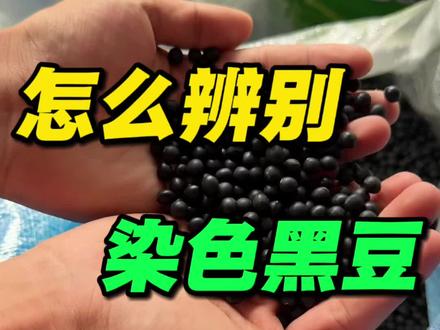 怎么辨别染色黑豆#中药材#养生#三农#科普#黑豆