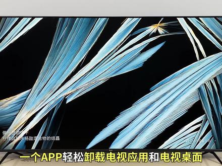 不用ROOT,无需刷机,一个操作,轻松卸载电视默认桌面,最后一步需注意!#电视桌面 #智能电视 #甲壳虫adb助手