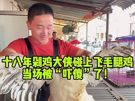 十八年剁鸡大侠碰上飞毛腿鸡,当场被“吓傻”了! #美食 #记录真实生活