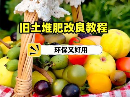 旧土处理和堆肥改良教程来了,环保又好用,人人都可以学会 盆栽植物种不好,并不是因为土壤的肥不够或者品种不行,可能是你的土壤出问题了。那今天来细致的教大家认识旧土的一些问题,然后手把手的教大家解决方法,把堆肥和改良的方法都细致的告诉大家,环保又好用比新土都好用哦#三农 #新农人计划2026 #知识科普 #土壤 #土壤改良