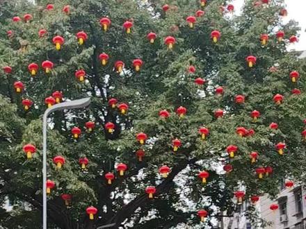 岳池年味浓,主页有体育馆人山人海视频#传承地方民俗文化你来看了没 岳池正月初一民俗表演!幸好一早在文庙看的,跟着来到体育馆,人山人海,被挤着走,根本看不到! #传承地方民俗文化