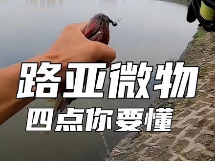 #创作灵感 新手入门路亚微物 四点你要懂#钓鱼 #vib #翘嘴鱼 #路亚