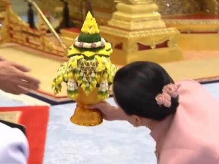 前有白月光,后有朱砂痣,#苏提达 的王后之位真的不好当……