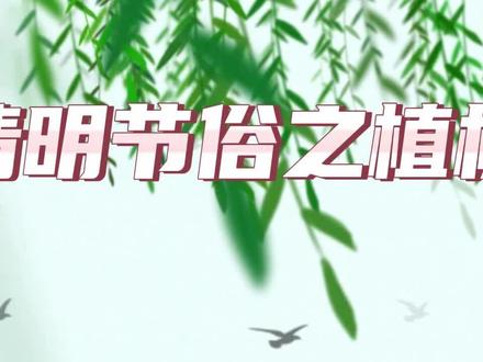 植树节 清明节俗之植树