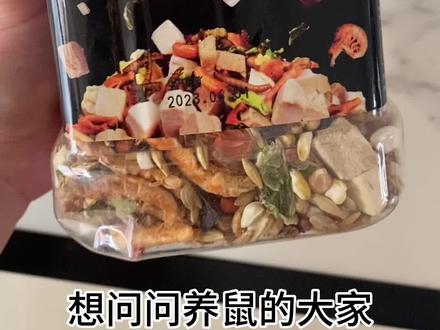 这是一篇求助贴,怎么辨别渣粮啊🫢#仓鼠 #鼠鼠我呀 #金丝熊