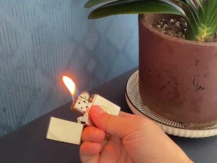 #创作灵感 #花式打火机入门玩法 这个算是入门级别的了