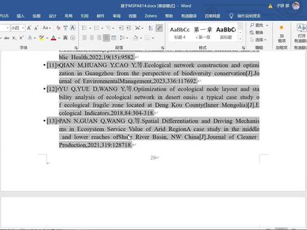 谁懂啊论文参考文献终于不被骂了!一分钟解决参考文献中英文混排的问题#毕业论文 #论文查重 #参考文献 #zotero #干货分享