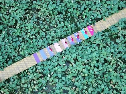 一份很“娃晒”的观音湖遛娃攻略来喽!