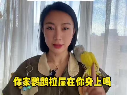 和尚鹦鹉真是不停拉屎🤣 如果你家的小鹦鹉喜欢拽你身上,那么防止他拉屎,在你衣服上最好是穿一个披肩#鹦鹉 #手养鹦鹉 #鹦鹉日常 #和尚鹦鹉 #手养鸟日常