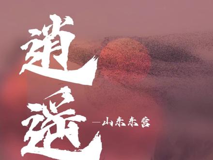 原来庄子是写实派,北冥有鱼竟然是真的 #东营 #鸟浪 #鲲鹏 #逍遥游 #北冥有鱼竟然是真的