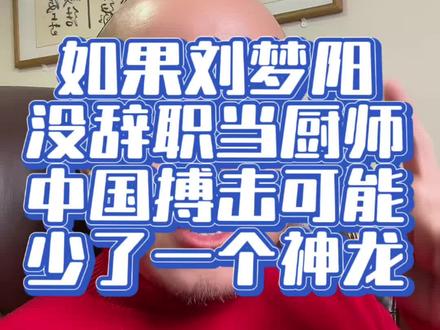 如果刘梦阳没辞职当厨师,中国搏击可能少了一个“神龙”。#刘梦阳#达万猜#人生架构学 #愚掌门
