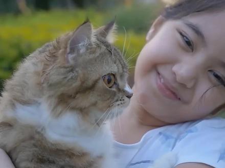 猫咪是靠什么方式分辨出主人的 #猫 #铲屎官 #宠物 #萌宠出道计划 #喵星人