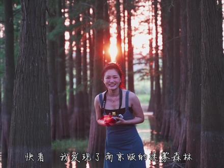 十一去哪玩?南京的迷雾森林,有山有水没有人#大泉湖池杉林 #小众景点 #户外露营