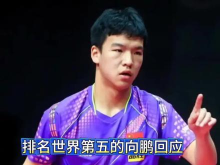 向鹏缺席比赛原因 排名世界第五的向鹏,缺席三站赛事原因曝光 #体育 #乒乓球 #向鹏 #国乒