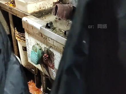 315曝光新行业乱象,早该整治了! #真实事件 #315 #社会百态 #食品安全 #眼镜