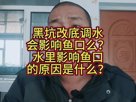黑坑改底调水基本不会影响鱼口,水里有病才会影响鱼口! #黑坑改底影响鱼口么 #黑坑调水影响鱼口么 #黑坑鱼不开口为什么 #黑坑杀虫影响鱼口么 #黑坑改底调水影响鱼口么