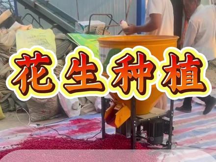 花生拌种用上它,今年产量顶呱呱 #花生 #花生种植 #花生种植管理技术 #花生高产 #花生高产全程模式化管理