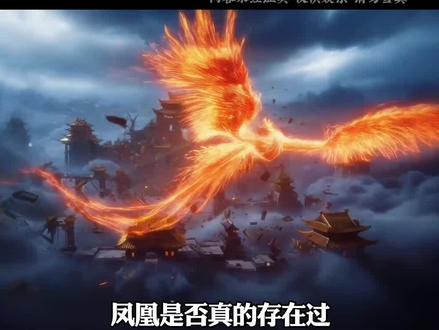 凤凰是否真的存在过?#凤凰 #存在吗 #神秘事件