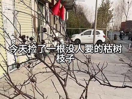 当彩泥遇到枯木,也能逢春开出花
#手工花制作