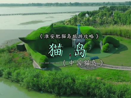 #中国猫岛 这是个由上100只猫咪统治的王国,100多只猫咪成为了这片土地的主人 #100多只拥有姓名的流浪猫