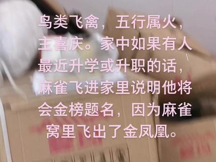 鸟类飞禽,主喜庆!!