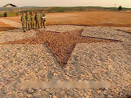 什么?班长老马竟然要退伍了? #王宝强 #士兵突击