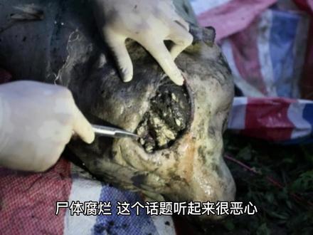 尸变图鉴:解密尸体腐烂全过程,带你深入了解医学领域和生命的珍贵@#今日分享 #关注我每天坚持分享知识 #科普一下