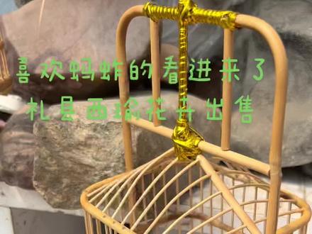 #蝈蝈 #惬意 #万物皆有灵性 #人与自然和谐共处 听听这声音,一天到晚都再叫