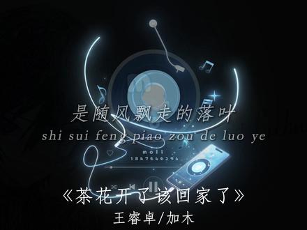 故乡没有春夏秋 只有冬. #茶花开了该回家了 #加木 #音乐种草计划