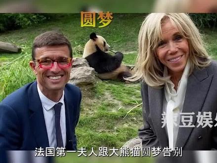 旅法大熊猫圆梦一出生就圈粉2000万,今夏回国第一夫人直言太难受#圆梦 #熊猫 #国宝 #娱乐 #热门